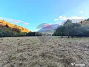 Teren de vanzare Zarnesti Brasov Piatra craiului