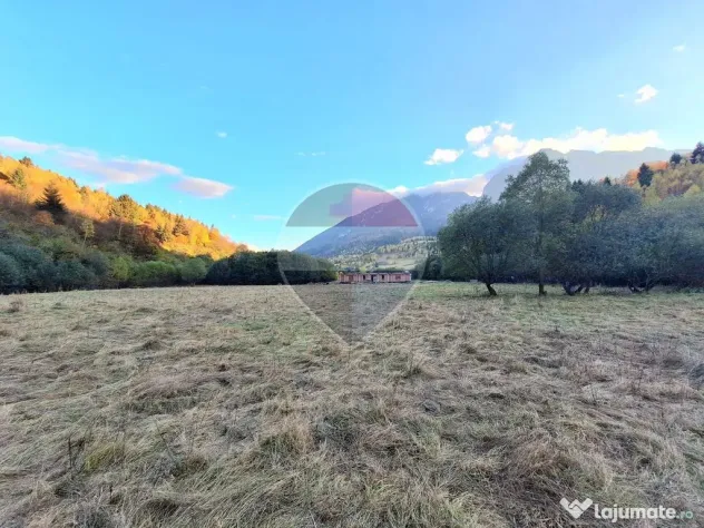 Teren de vanzare Zarnesti Brasov Piatra craiului - Zarnesti (Brasov)