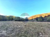 Teren de vanzare Zarnesti Brasov Piatra craiului