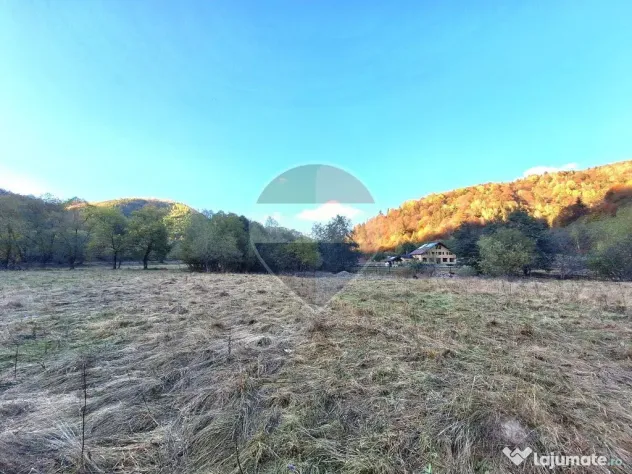 Teren de vanzare Zarnesti Brasov Piatra craiului - Zarnesti (Brasov)