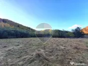 Teren de vanzare Zarnesti Brasov Piatra craiului