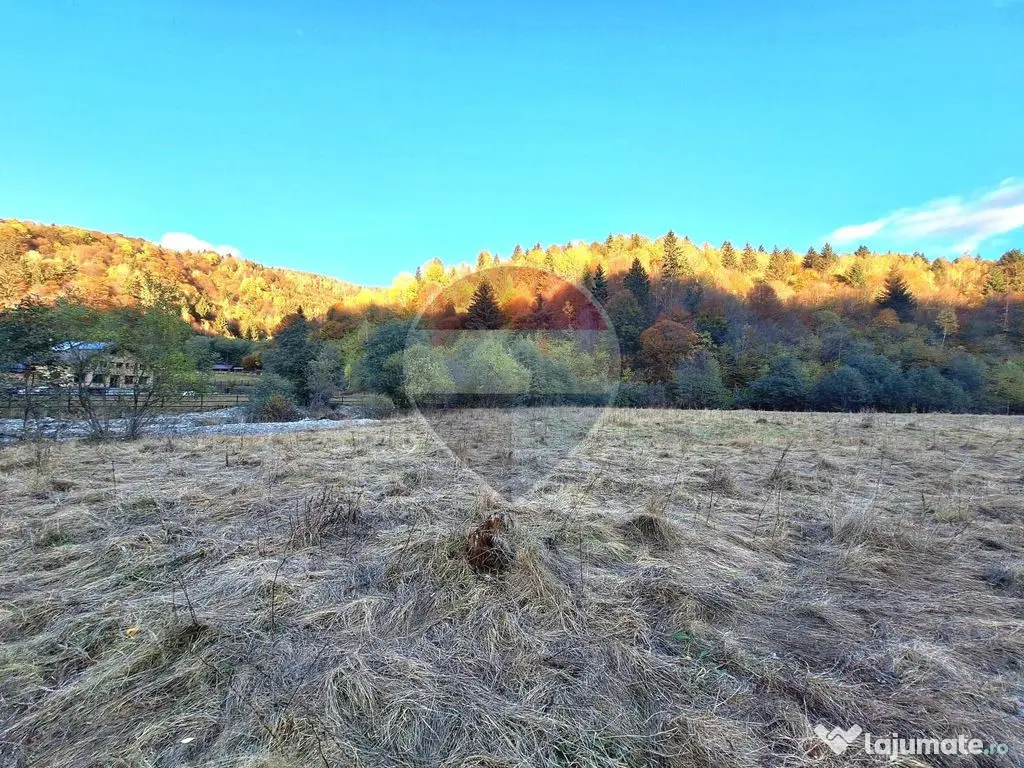 Teren de vanzare Zarnesti Brasov Piatra craiului - Zarnesti (Brasov)
