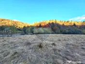Teren de vanzare Zarnesti Brasov Piatra craiului