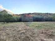 Teren de vanzare Zarnesti Brasov Piatra craiului