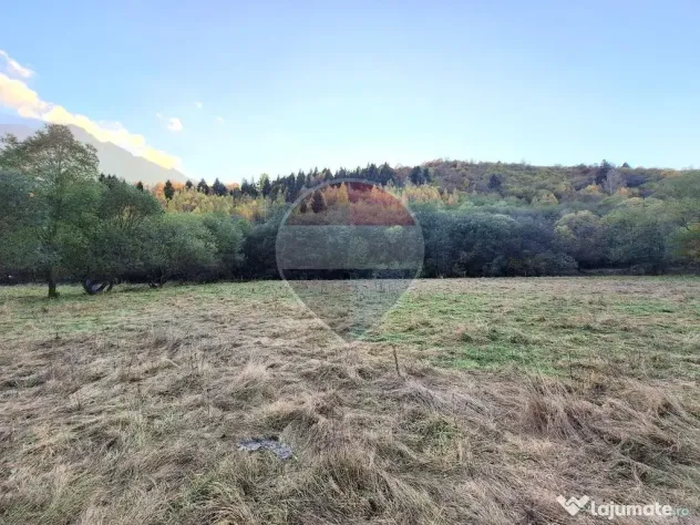 Teren de vanzare Zarnesti Brasov Piatra craiului - Zarnesti (Brasov)