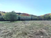 Teren de vanzare Zarnesti Brasov Piatra craiului