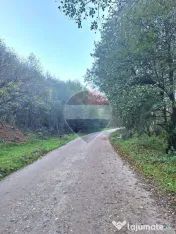 Teren de vanzare Zarnesti Brasov Piatra craiului