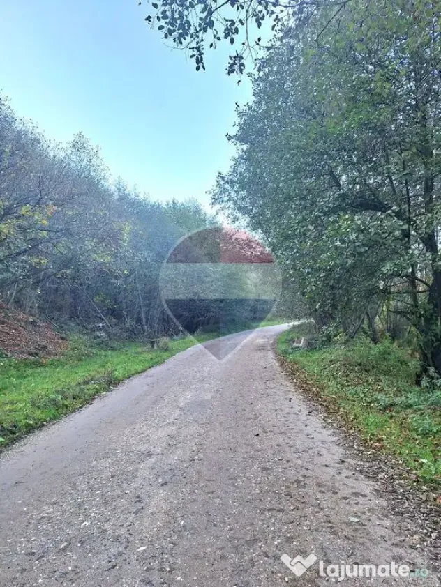 Teren de vanzare Zarnesti Brasov Piatra craiului - Zarnesti (Brasov)