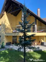 Vand casa in Deva, D+P+M, ultracentral la 600 metri de Casa de Cultura