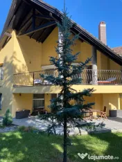 Vand casa in Deva, D+P+M, ultracentral la 600 metri de Casa de Cultura