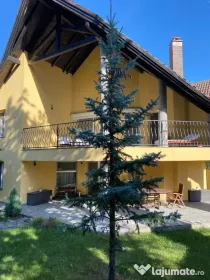 Vand casa in Deva, D+P+M, ultracentral la 600 metri de Casa de Cultura