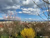 Vand casa in Deva, D+P+M, ultracentral la 600 metri de Casa de Cultura