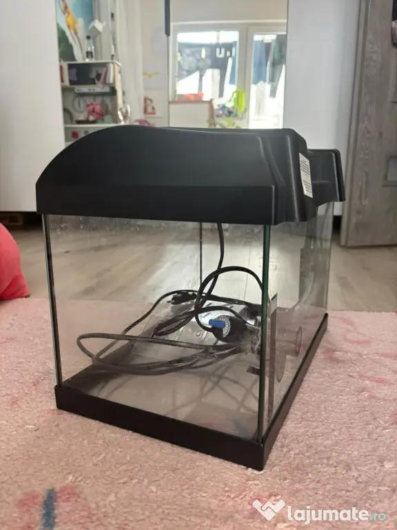 Aquariu pesti/broasca testoasa