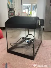 Aquariu pesti/broasca testoasa