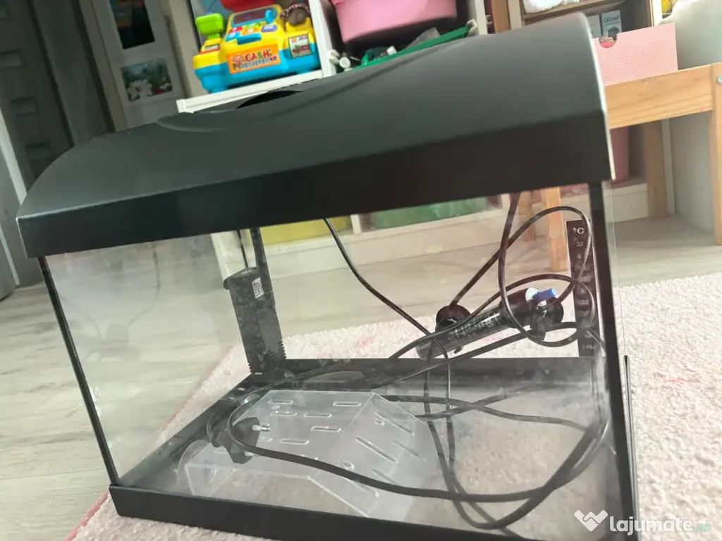 Aquariu pesti/broasca testoasa