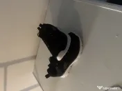 Adidasi sketchers 