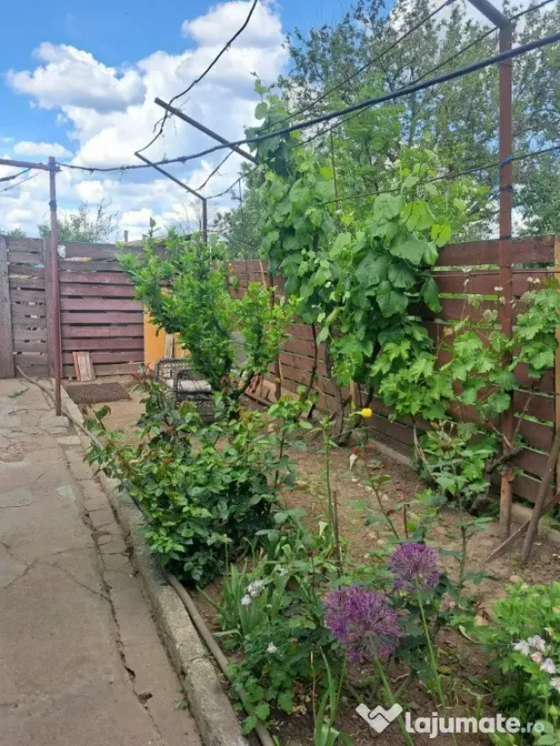 Vand casa corabia pret negociabil Corabia, Olt - Corabia (Olt)