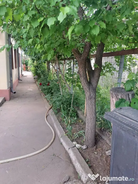 Vand casa corabia pret negociabil Corabia, Olt - Corabia (Olt)