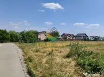 Teren+proiect- Berceni