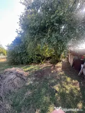 Imobil de vânzare cu două corpuri de casă și teren de 1. 