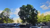 Spatiu Birouri | Ultracentral | Unirii 