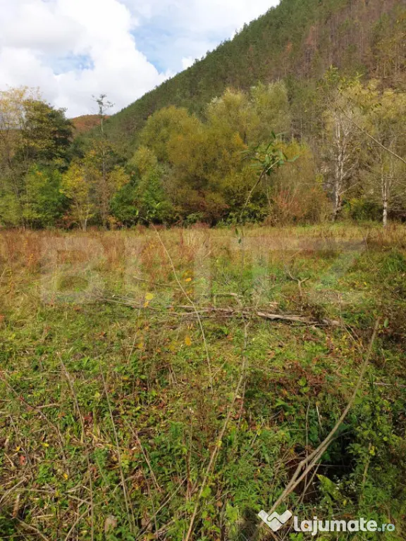 ???? Teren drept, 1.300 mp, două fronturi și panoramă spr - Gros (Hunedoara)