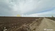 Teren extravilan de vânzare – în apropierea autostrăzii A1, km 80