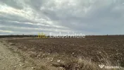 Teren extravilan de vânzare – în apropierea autostrăzii A1, km 80