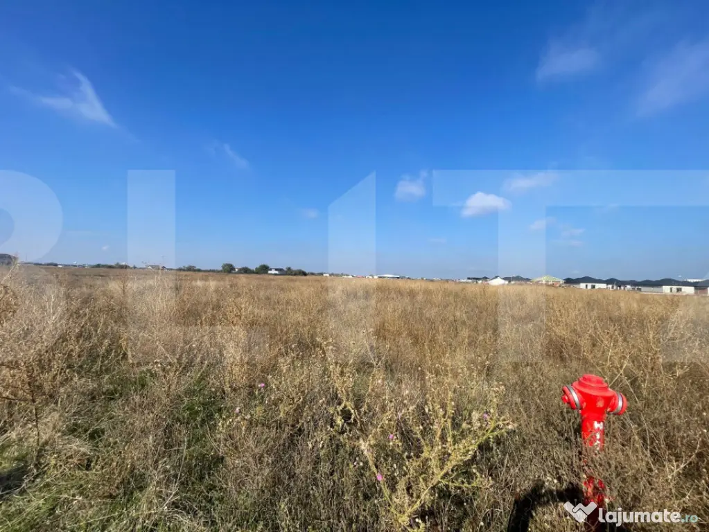 Teren intravilan de vanzare in Carcea, 27.236 mp, front stra - Craiova (Dolj)