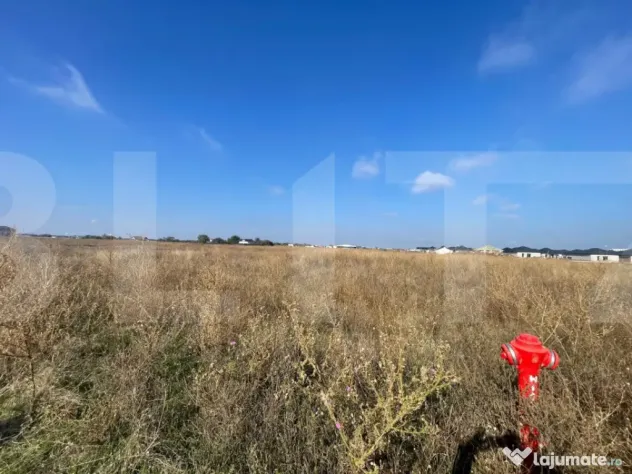 Teren intravilan de vanzare in Carcea, 27.236 mp, front stra - Craiova (Dolj)
