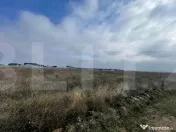 Teren intravilan de vanzare in Carcea, 27.236 mp, front stra 
