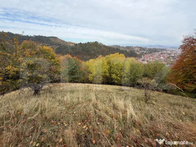 Teren generos de 17.684 mp în Șcheii Brașovului cu panora - Brasov (Brasov)
