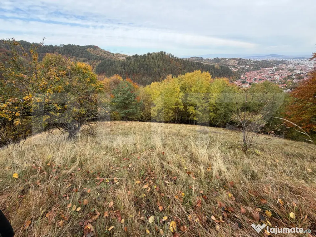 Teren generos de 17.684 mp în Șcheii Brașovului cu panora - Brasov (Brasov)