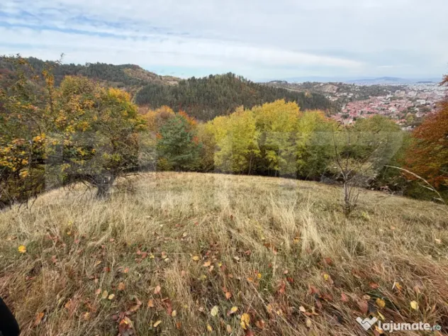 Teren generos de 17.684 mp în Șcheii Brașovului cu panora - Brasov (Brasov)