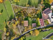 Proprietate deosebita in Padureni: 2 case, domeniu de 3.800m 