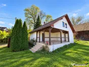 Proprietate deosebita in Padureni: 2 case, domeniu de 3.800m 