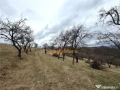 TEREN 34.000 MP | SERANI BIHOR