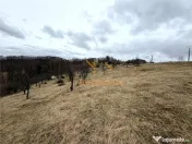 TEREN 34.000 MP | SERANI BIHOR