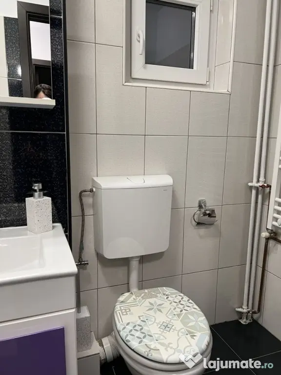 Dristor etaj 1 agata barsescu - Bucuresti (Bucuresti-Ilfov)