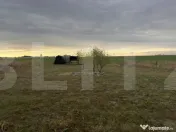 Teren intravilan, 500 mp, zona Exterior Est - Pielești 