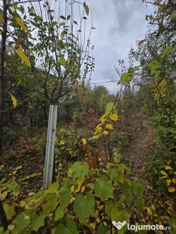 Teren intravilan, 600 mp, zona Bucov - Bucov (Prahova)