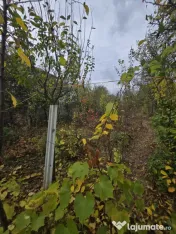 Teren intravilan, 600 mp, zona Bucov