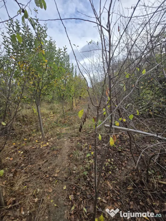 Teren intravilan, 600 mp, zona Bucov - Bucov (Prahova)