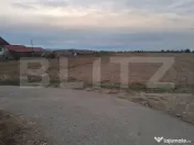 Teren 11.693 mp, Cornești 