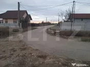 Teren 11.693 mp, Cornești 
