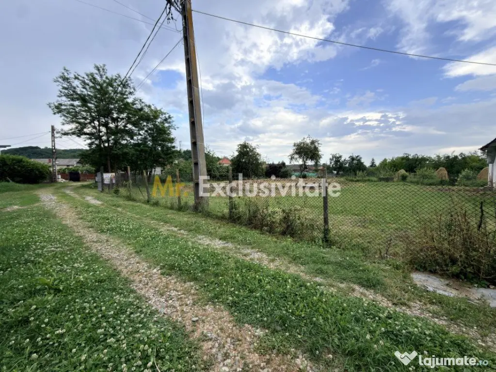 Teren intravilan–2.104 mp | Albești - Transfagarasan - Curtea de Arges - Albestii de Arges (Arges)