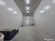 Otopeni, hala 2850 ambient/congelare/refrigerare 