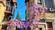 Apartament cu 3 camere de închiriat în zona P-ta Romana