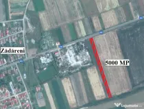 Teren 5.000 mp. in Zadareni - ID : RH-8727-property