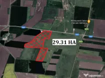 Teren 29.31 ha in Simand - ID : RH-30812-property